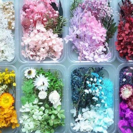 Candle Making Supplies Real Dried Flowers